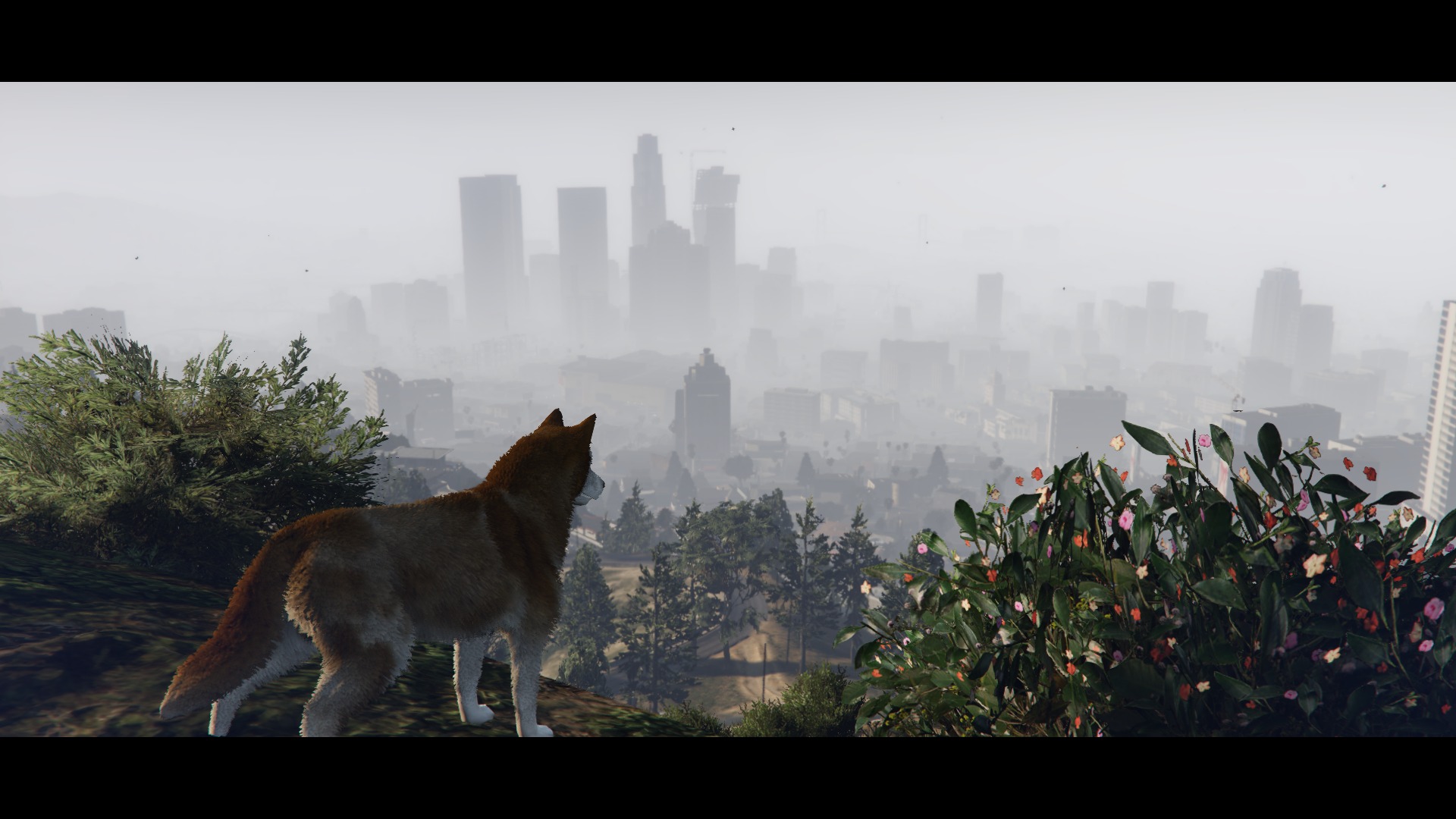 サムネイル：ペットのすゝめ