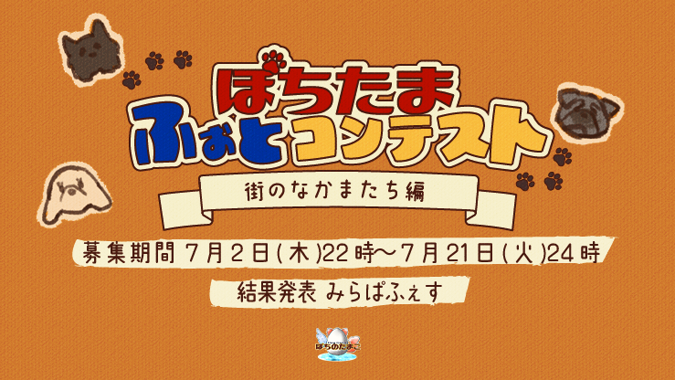 サムネイル：【ぽちのたまご】『ぽちたまふぉとコンテスト ～街のなかまたち編～』開催決定！【PR】