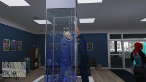 サムネイル：スズキ