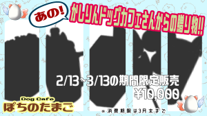 サムネイル：【PR】夢のコラボ！？ぽちのたまごxかしりんドッグカフェ