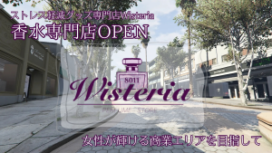 サムネイル：【Wisteria】ストレス解消グッズ専門店、新店舗OPEN【PR】
