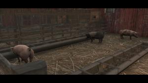 サムネイル：【PR】この街で一番多いのは…